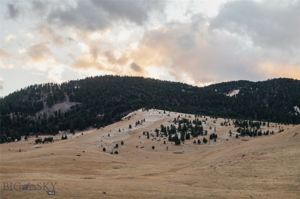 TBD Livingston Peak Road, Livingston MT 59047
