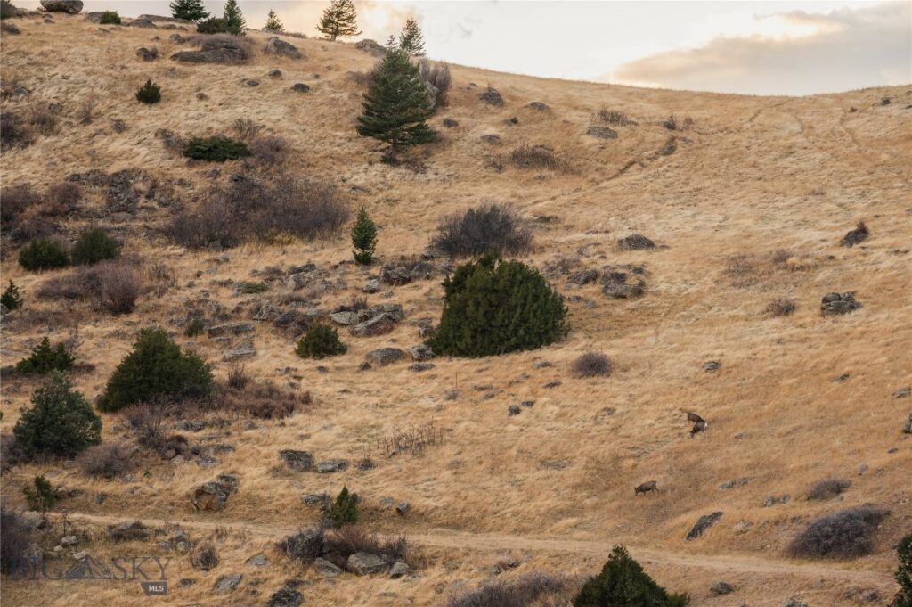 TBD Livingston Peak Road, Livingston MT 59047