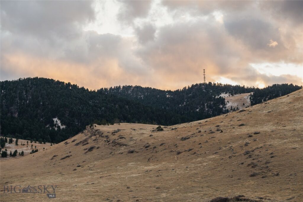 TBD Livingston Peak Road, Livingston MT 59047