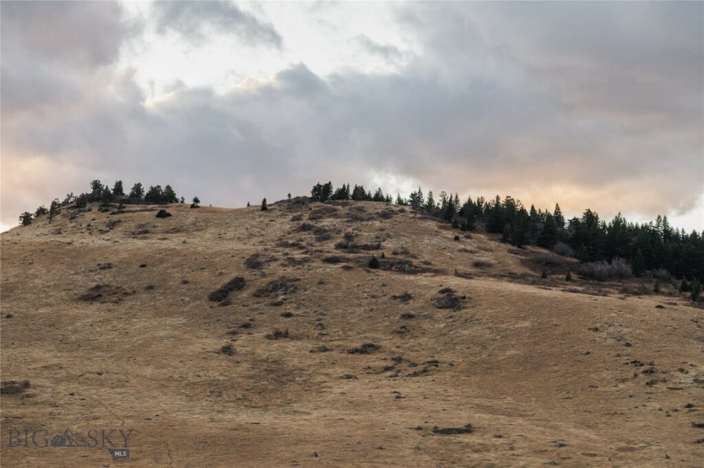 TBD Livingston Peak Road, Livingston MT 59047