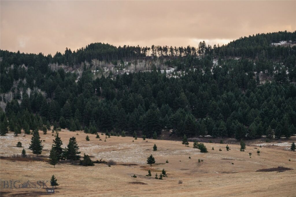 TBD Livingston Peak Road, Livingston MT 59047