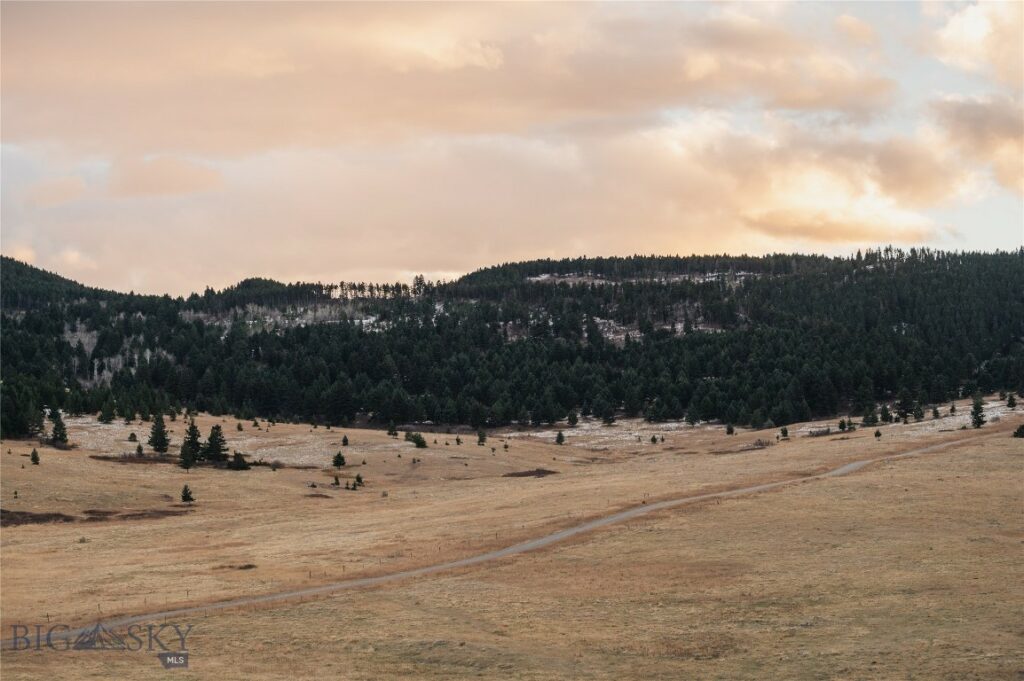 TBD Livingston Peak Road, Livingston MT 59047