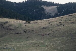 TBD Livingston Peak Road