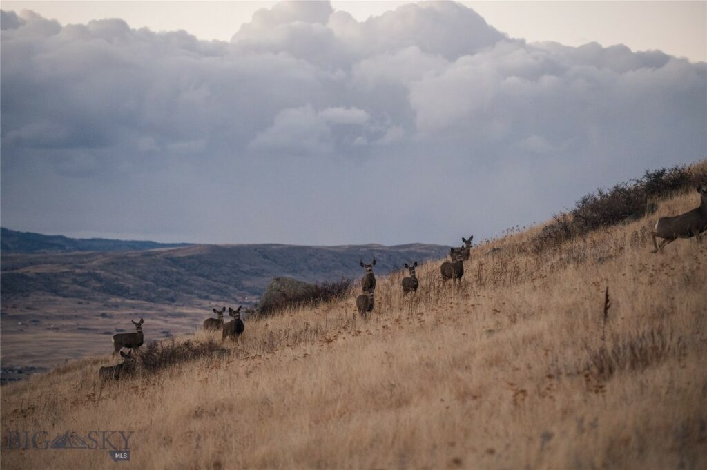 TBD Livingston Peak Road, Livingston MT 59047