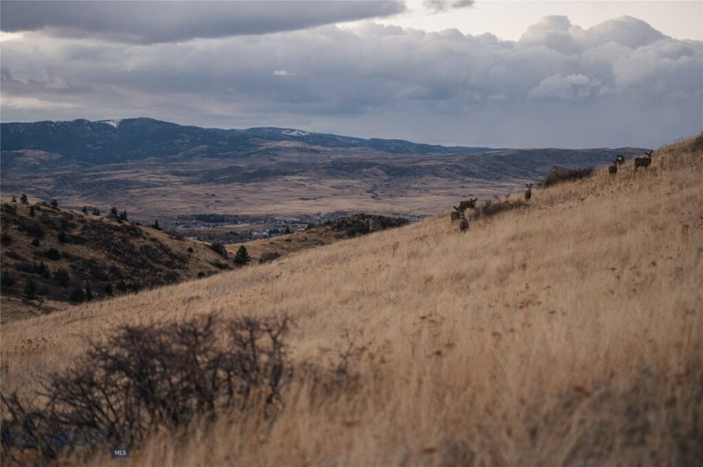 TBD Livingston Peak Road, Livingston MT 59047
