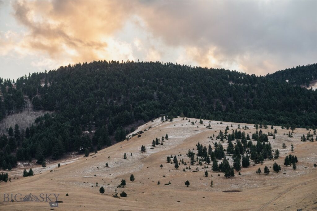 TBD Livingston Peak Road, Livingston MT 59047