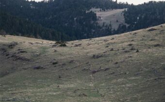 TBD Livingston Peak Road, Livingston MT 59047