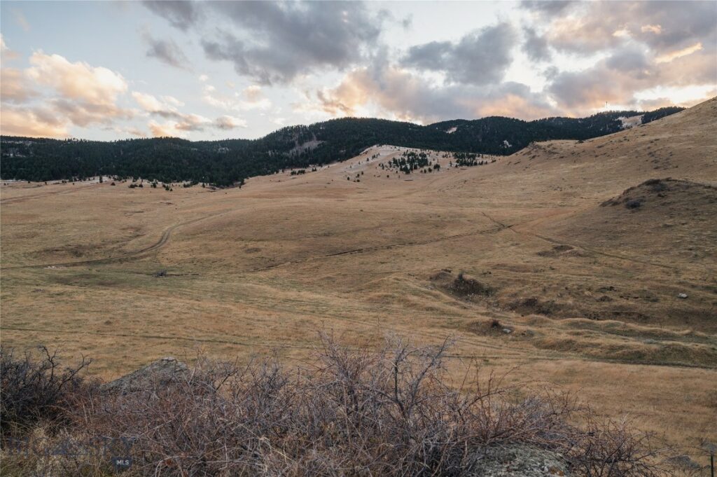TBD Livingston Peak Road, Livingston MT 59047