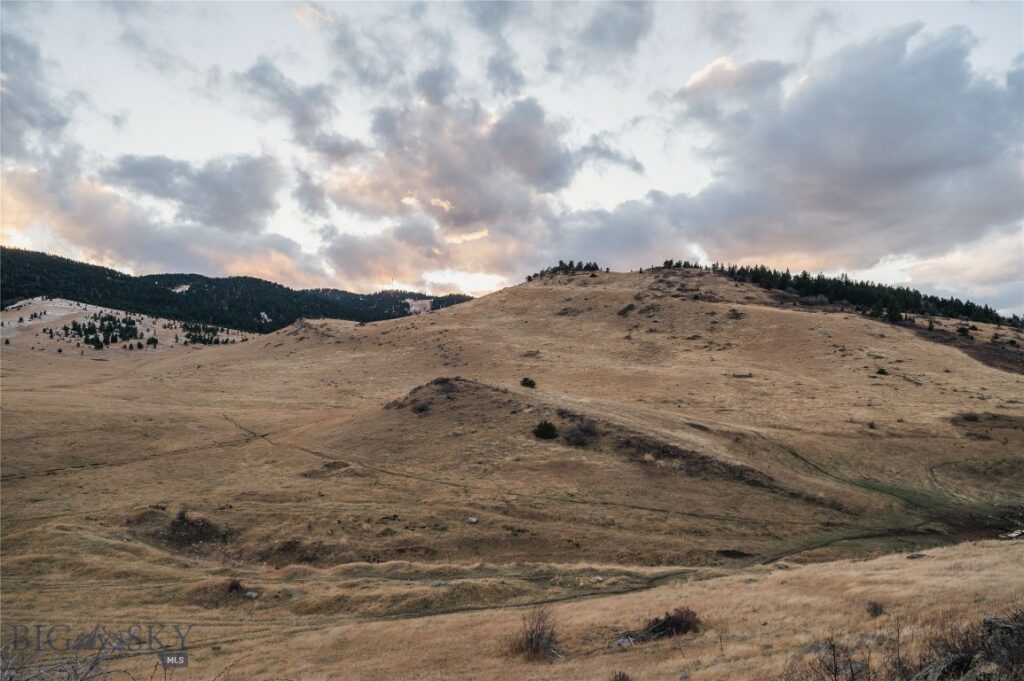 TBD Livingston Peak Road, Livingston MT 59047