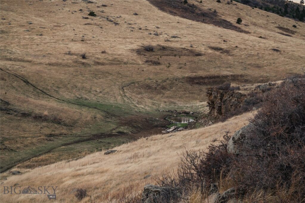 TBD Livingston Peak Road, Livingston MT 59047