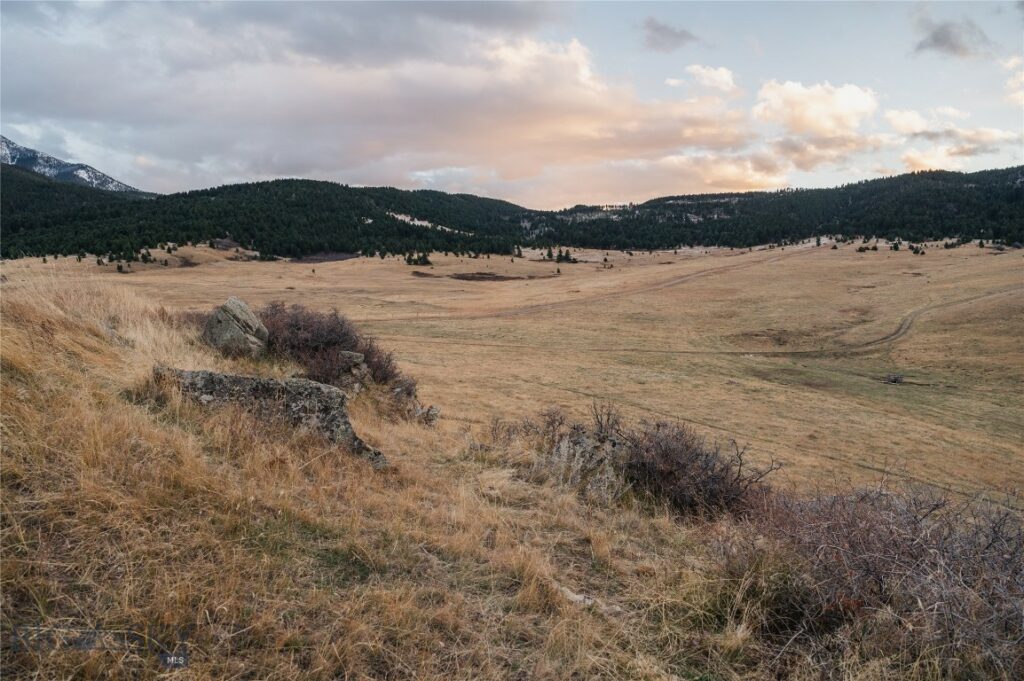 TBD Livingston Peak Road, Livingston MT 59047