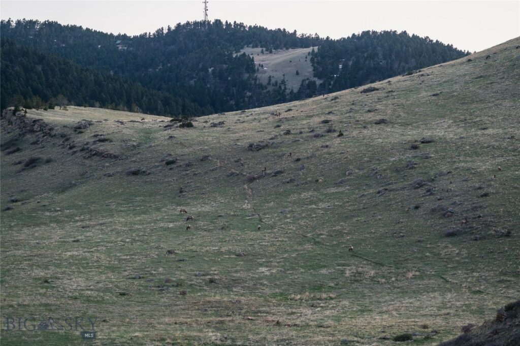 TBD Livingston Peak Road, Livingston MT 59047