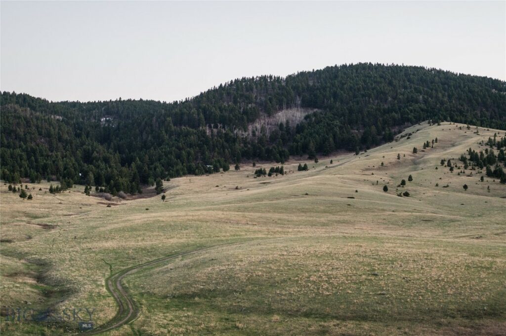 TBD Livingston Peak Road, Livingston MT 59047