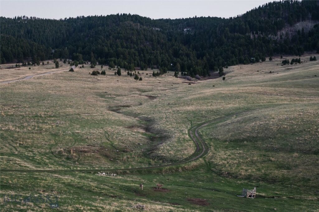 TBD Livingston Peak Road, Livingston MT 59047