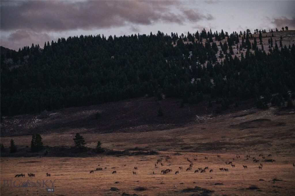 TBD Livingston Peak Road, Livingston MT 59047