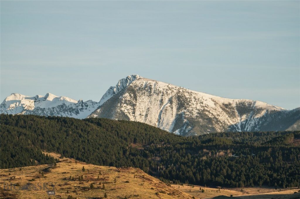 TBD Livingston Peak Road, Livingston MT 59047
