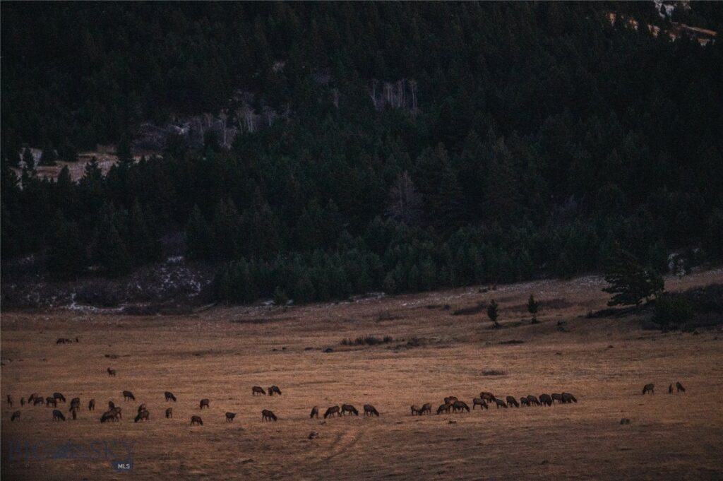 TBD Livingston Peak Road, Livingston MT 59047