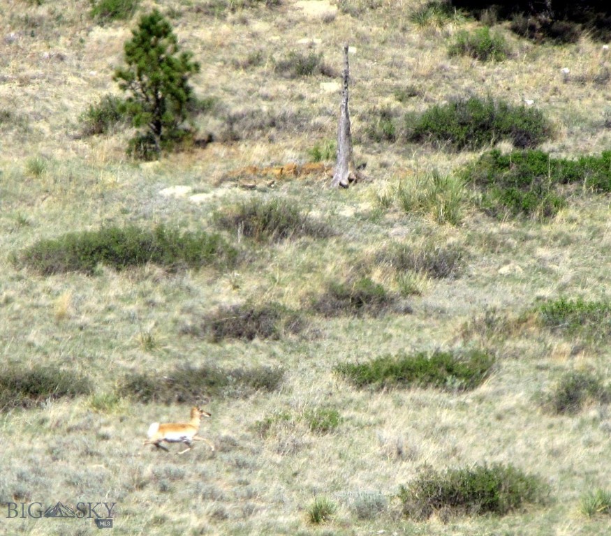 TBD Lone Rock Canyon Lane, Hysham MT 59076