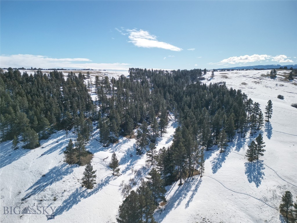 TBD Lot 1 Casino Creek Road, Lewistown MT 59457