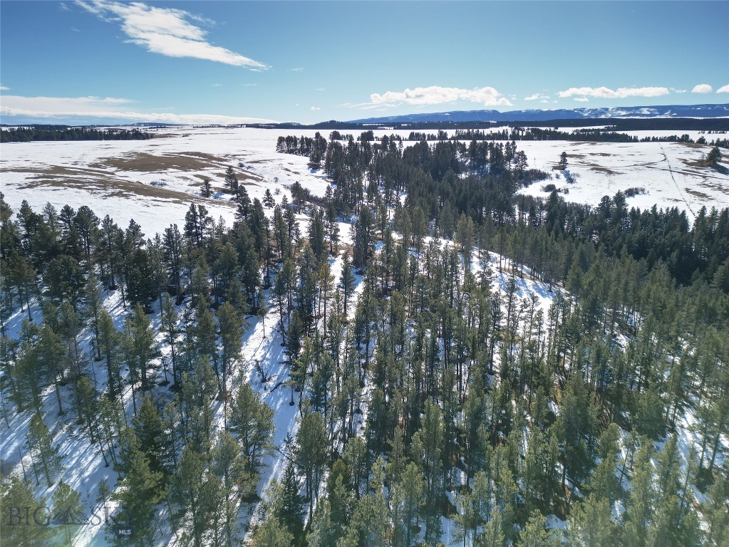 TBD Lot 1 Casino Creek Road, Lewistown MT 59457