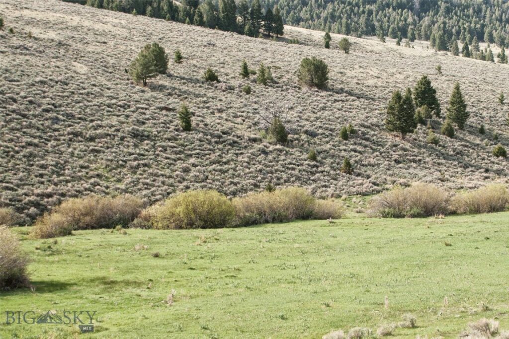 TBD Middle Fork of Little Sheep Creek, Lima MT 59739