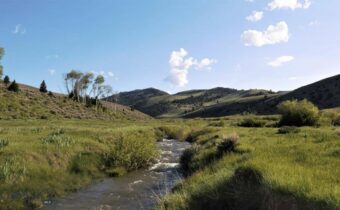 TBD Middle Fork of Little Sheep Creek, Lima MT 59739