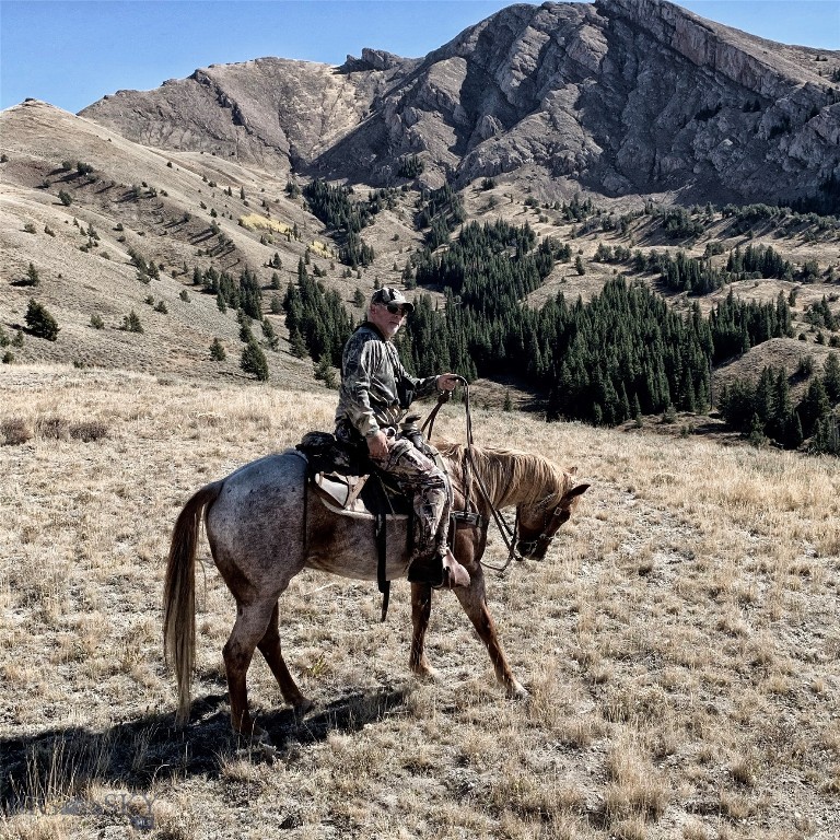 TBD Middle Fork of Little Sheep Creek, Lima MT 59739