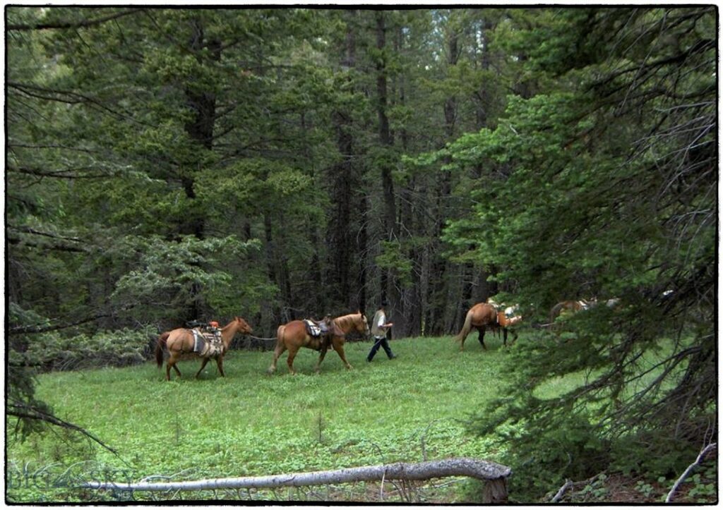 TBD Middle Fork of Little Sheep Creek, Lima MT 59739