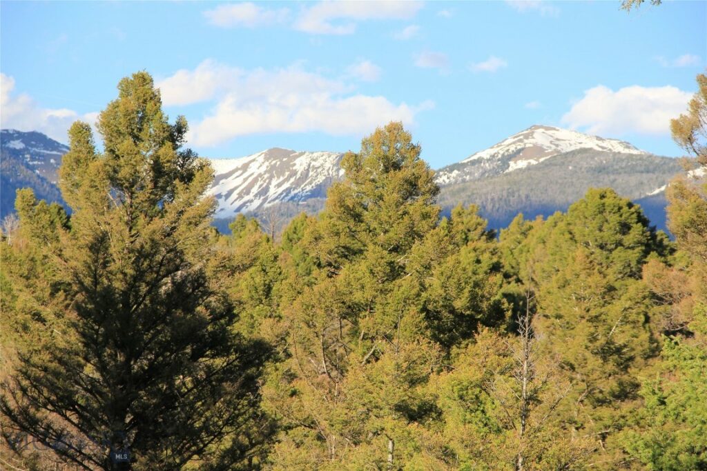 TBD Mol Heron Creek Road, Gardiner MT 59030