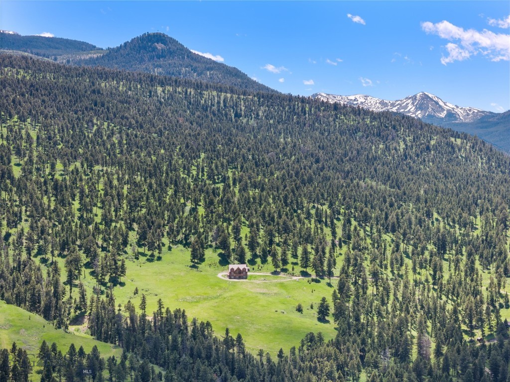 TBD Mol Heron Creek Road, Gardiner MT 59030