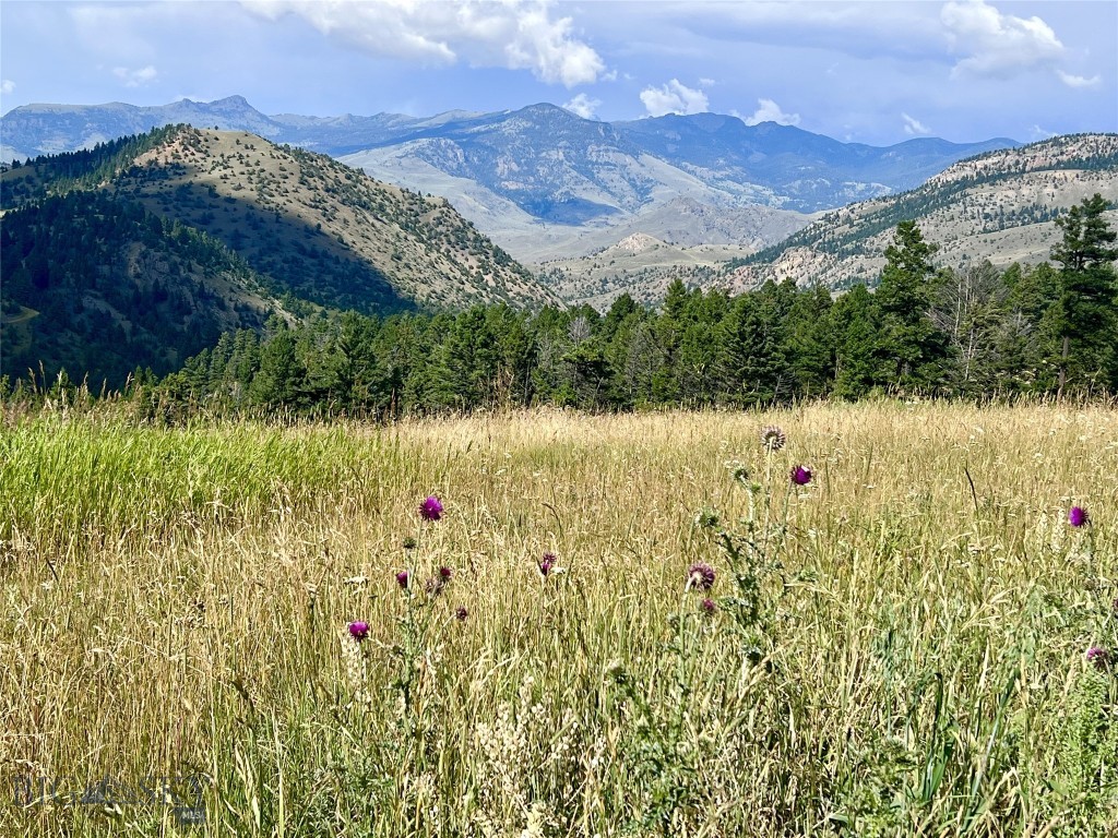 TBD Mol Heron Creek Road, Gardiner MT 59030