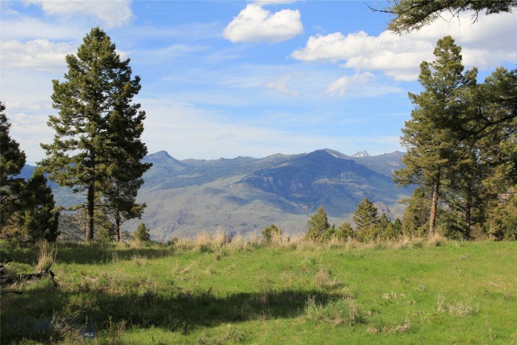 TBD Mol Heron Creek Road, Gardiner MT 59030