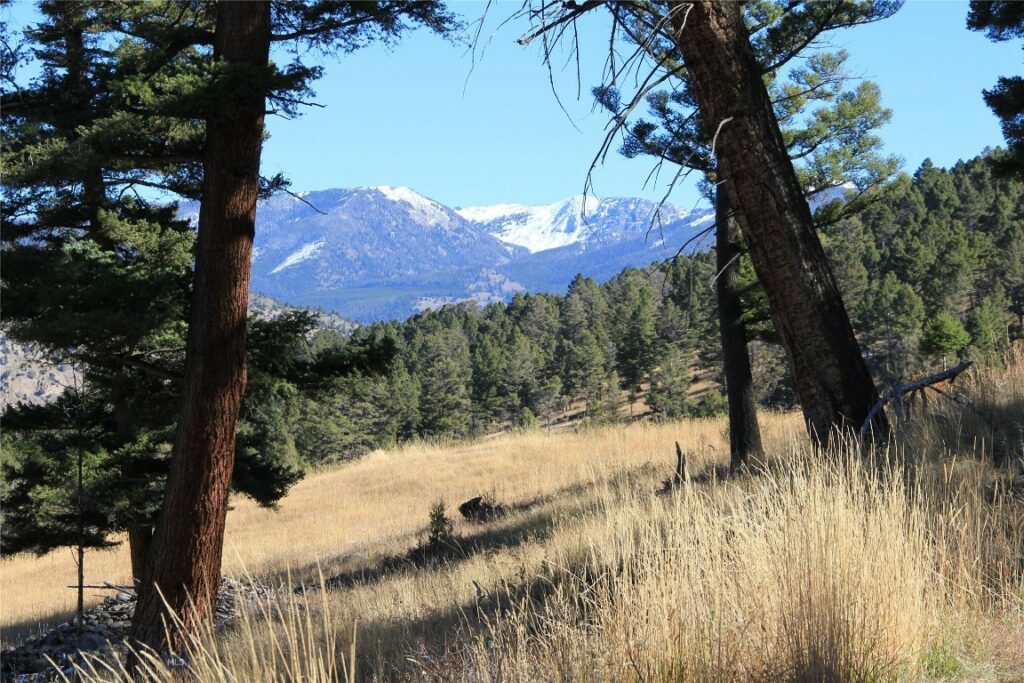 TBD Mol Heron Creek Road, Gardiner MT 59030