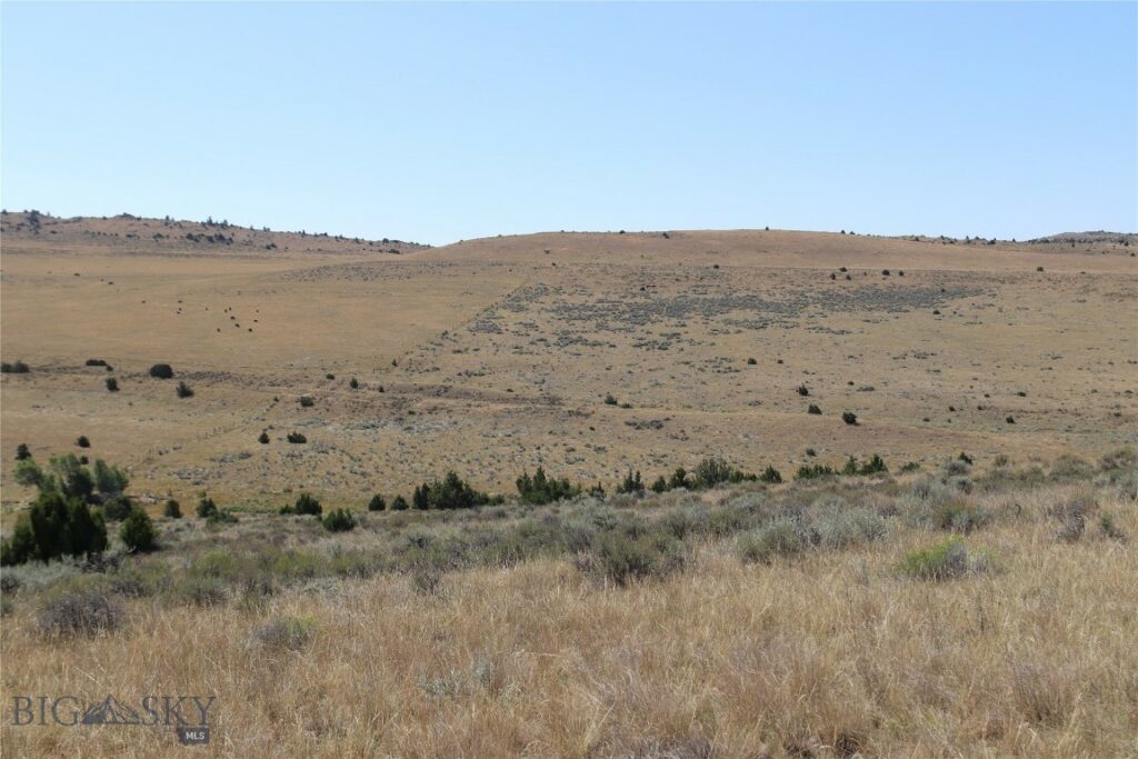 TBD Nixon Gulch (Parcel 18) Road, Manhattan MT 59741