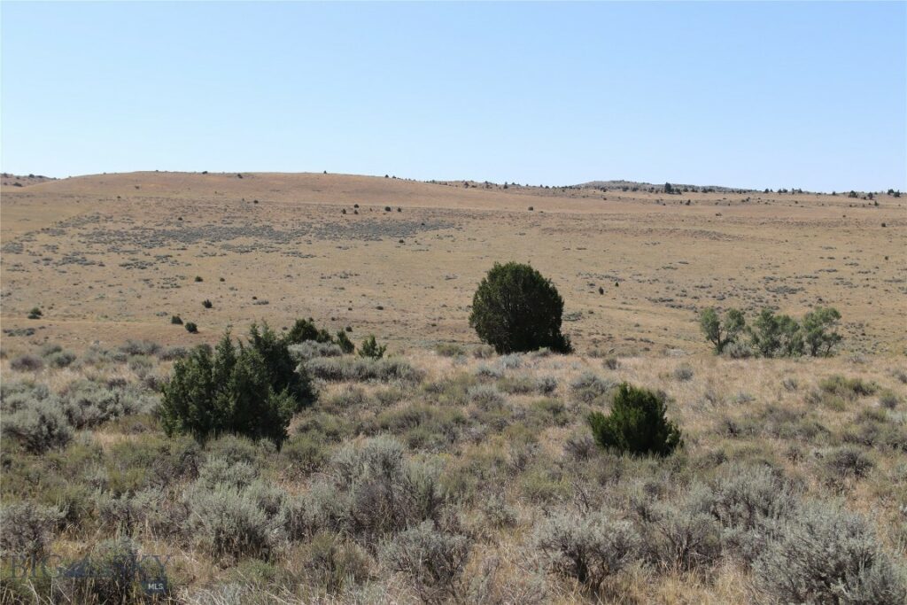 TBD Nixon Gulch (Parcel 18) Road, Manhattan MT 59741