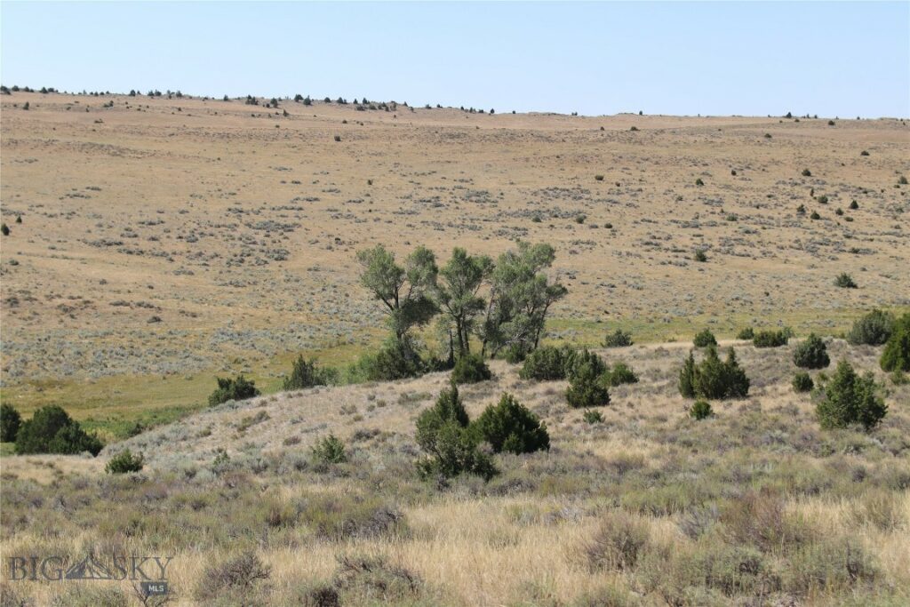 TBD Nixon Gulch (Parcel 18) Road, Manhattan MT 59741