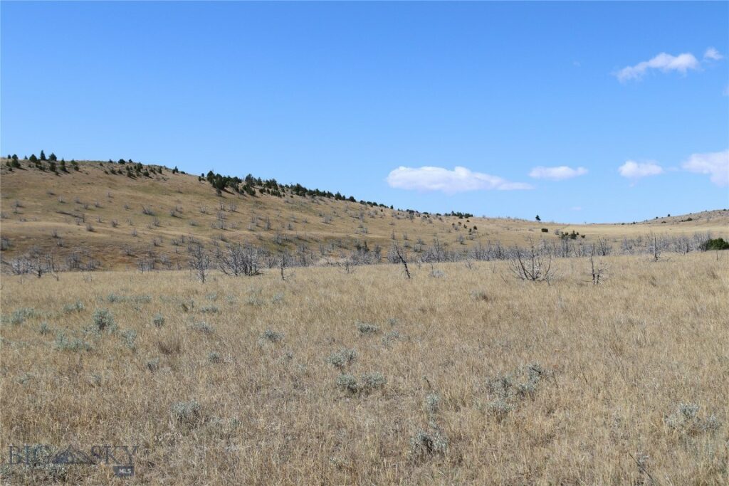 TBD Nixon Gulch (Parcel 6) Road, Manhattan MT 59741