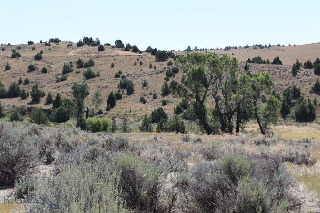 TBD Nixon Gulch (Parcel 6) Road, Manhattan MT 59741