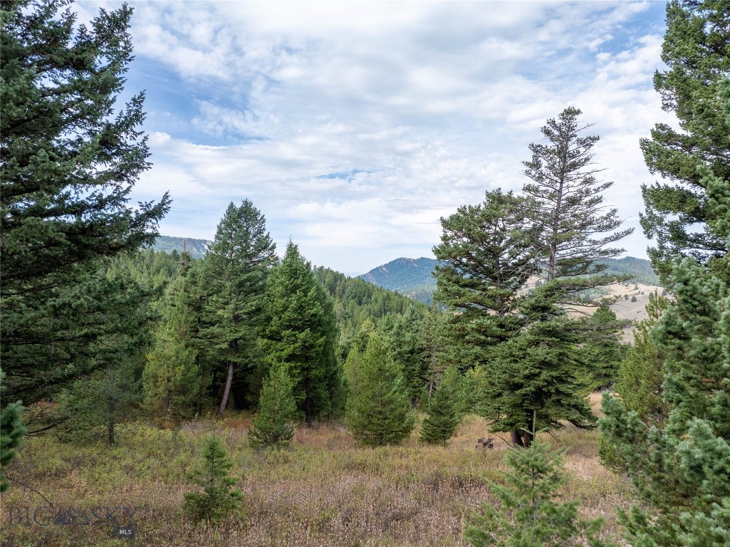 TBD Parcel 1 Woodchuck Road, Bozeman MT 59715