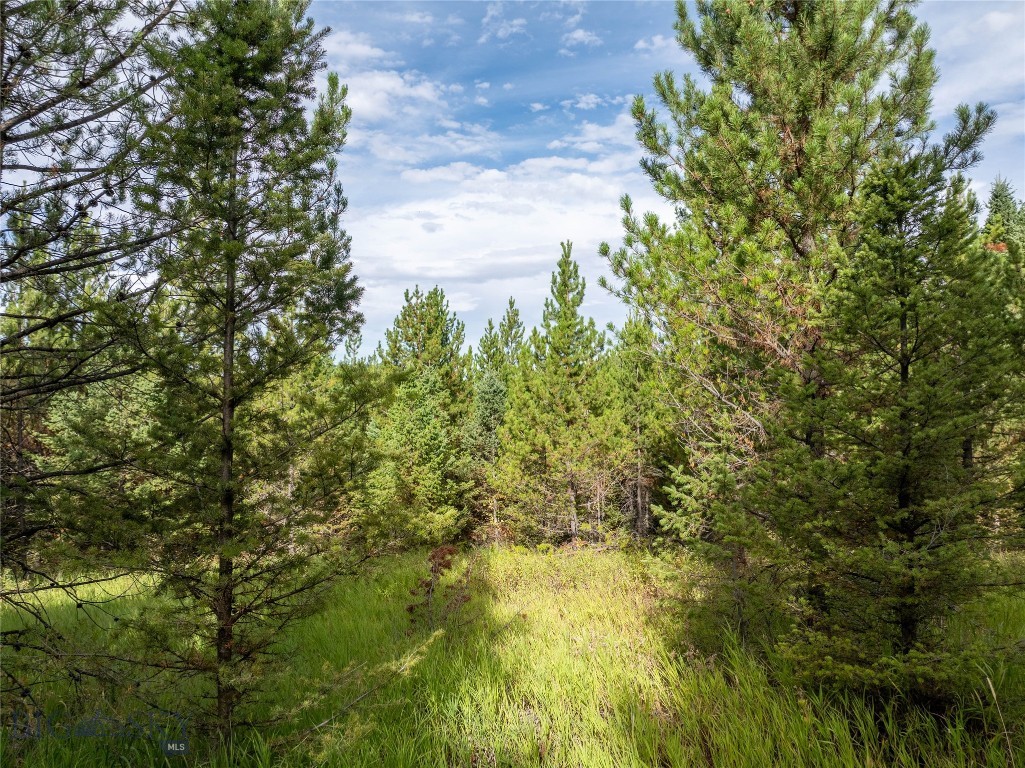 TBD Parcel 1 Woodchuck Road, Bozeman MT 59715