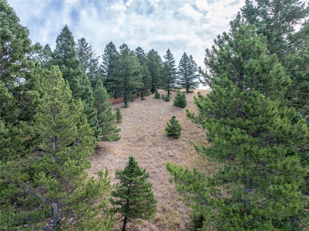 TBD Parcel 2 Woodchuck Road, Bozeman MT 59715