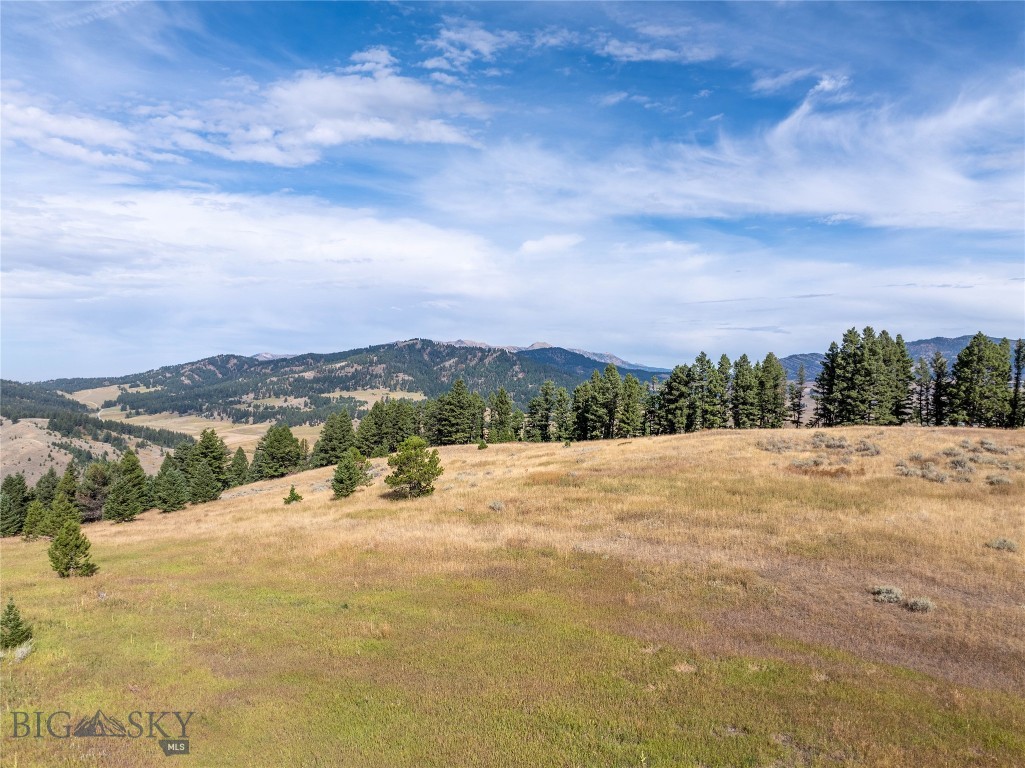 TBD Parcel 2 Woodchuck Road, Bozeman MT 59715