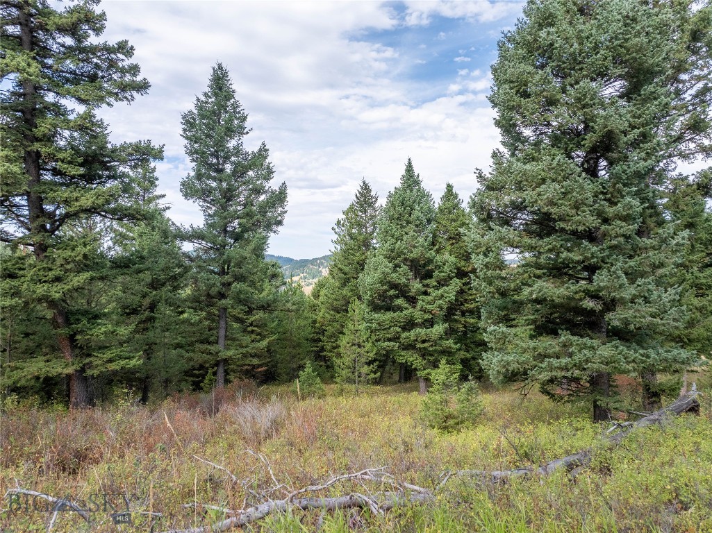 TBD Parcel 2 Woodchuck Road, Bozeman MT 59715