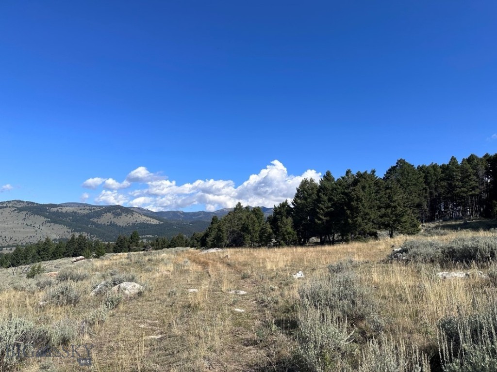 TBD Parcel 6 Bivens Creek Ridge Road, Sheridan MT 59749