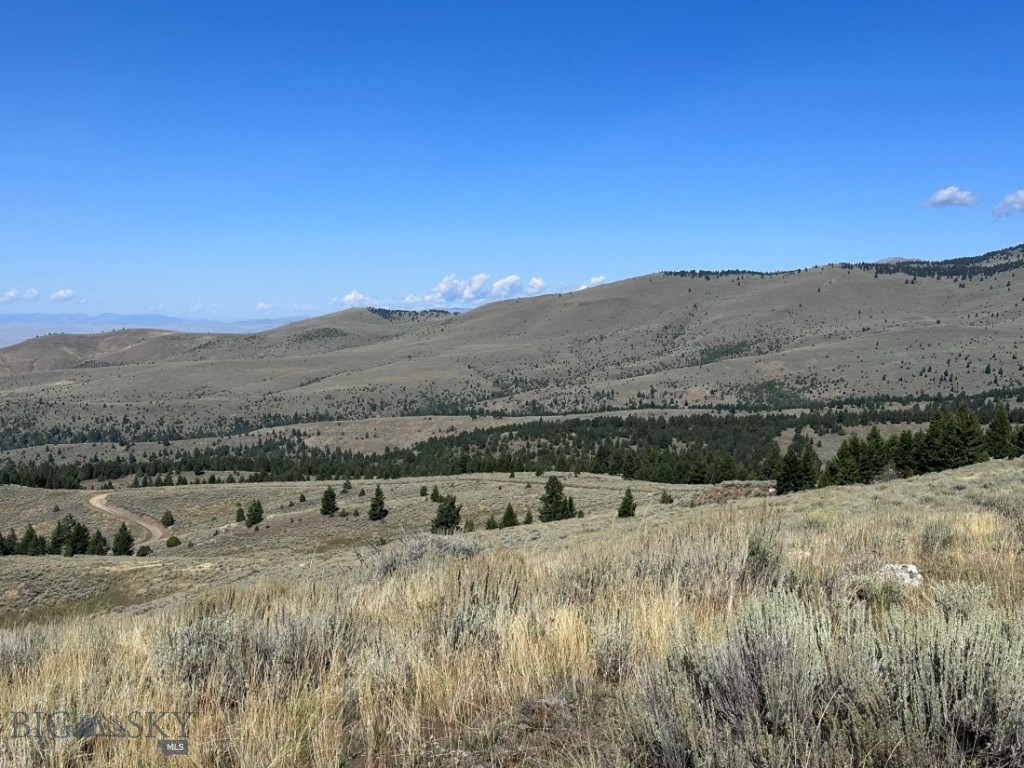 TBD Parcel 6 Bivens Creek Ridge Road, Sheridan MT 59749