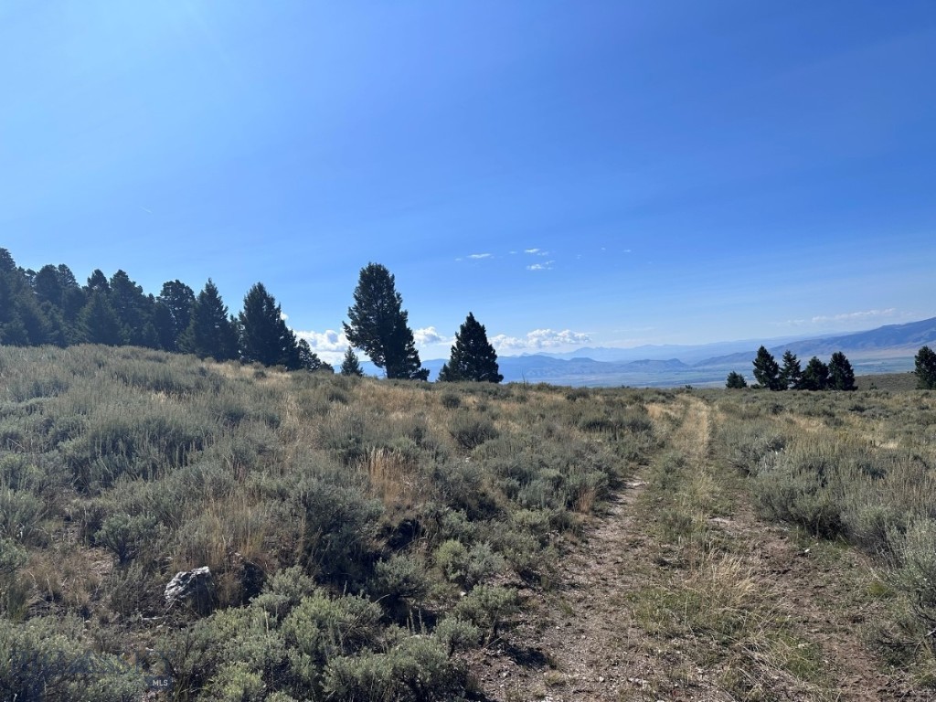 TBD Parcel 6 Bivens Creek Ridge Road, Sheridan MT 59749