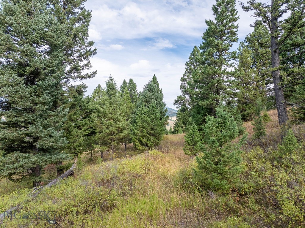 TBD Parcels 1 & 2, Woodchuck Road, Bozeman MT 59715