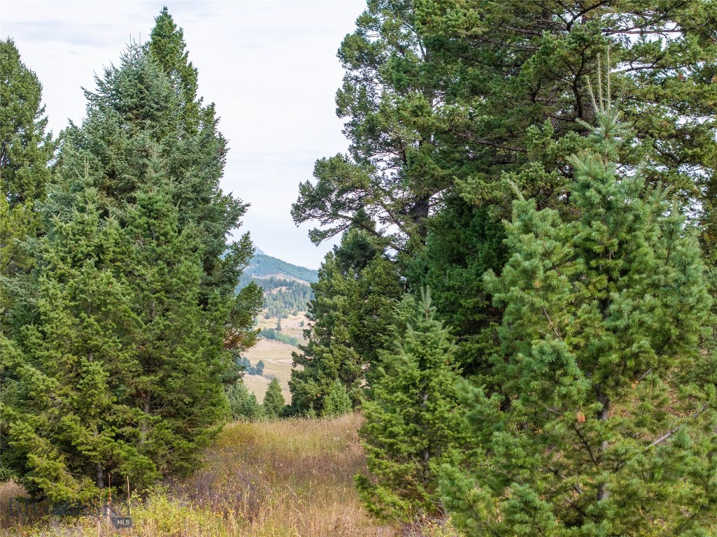 TBD Parcels 1 & 2, Woodchuck Road, Bozeman MT 59715