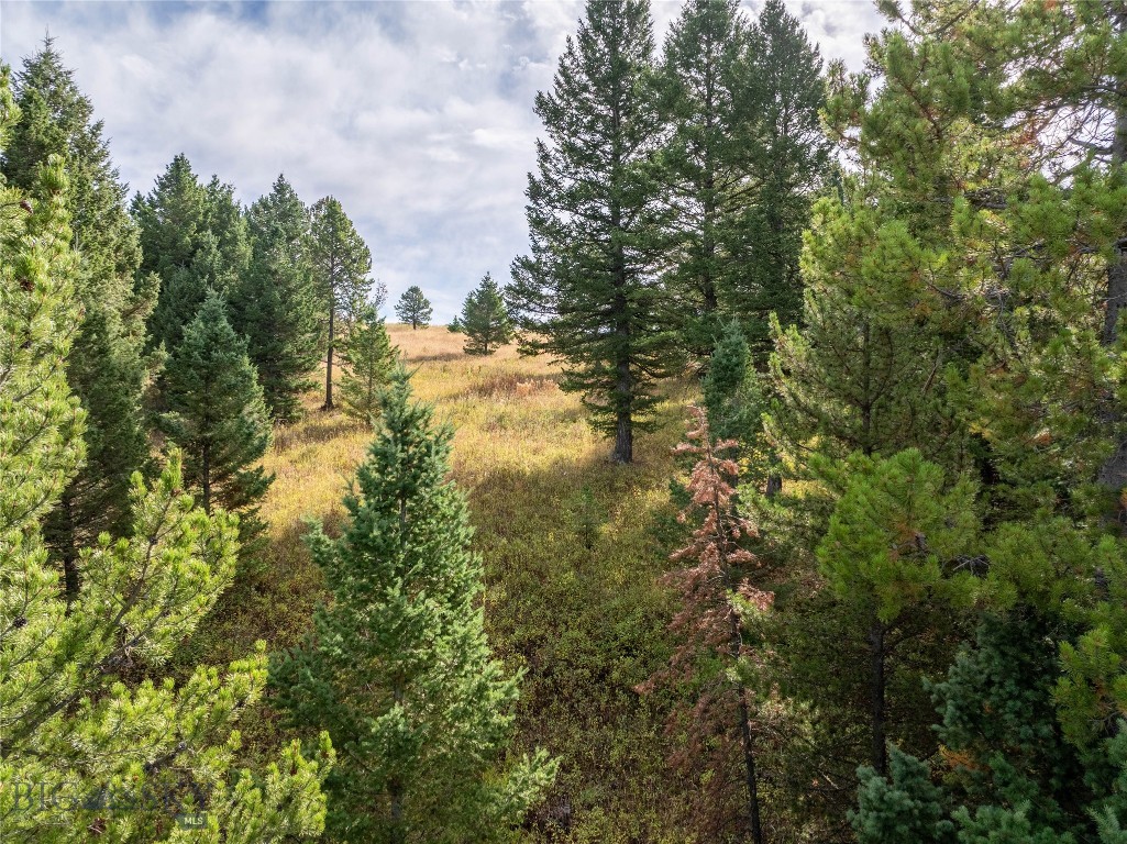 TBD Parcels 1 & 2, Woodchuck Road, Bozeman MT 59715