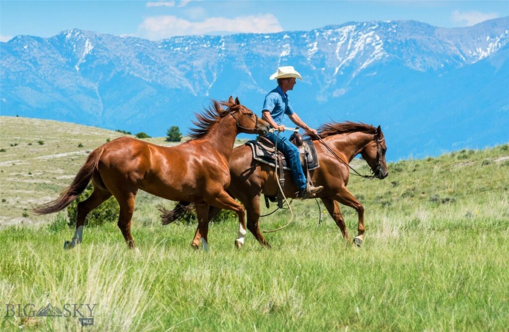 TBD Prickly Pear, Manhattan MT 59741